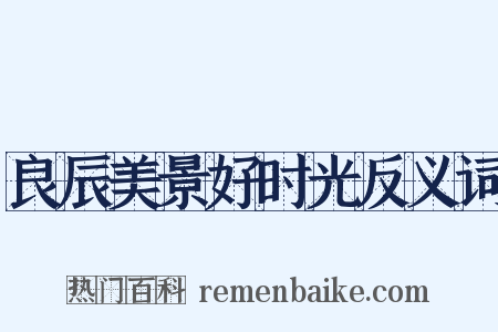 良辰美景好时光反义词是什么意思的图片